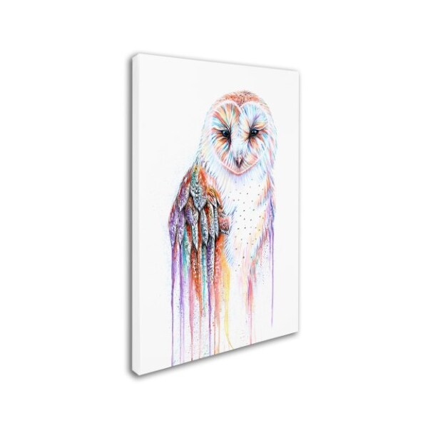 Michelle Faber 'Barred Rainbow Owl' Canvas Art,30x47